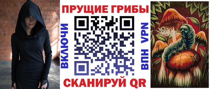 Псилоцибиновые грибы Psilocybine cubensis  Йошкар-Ола 